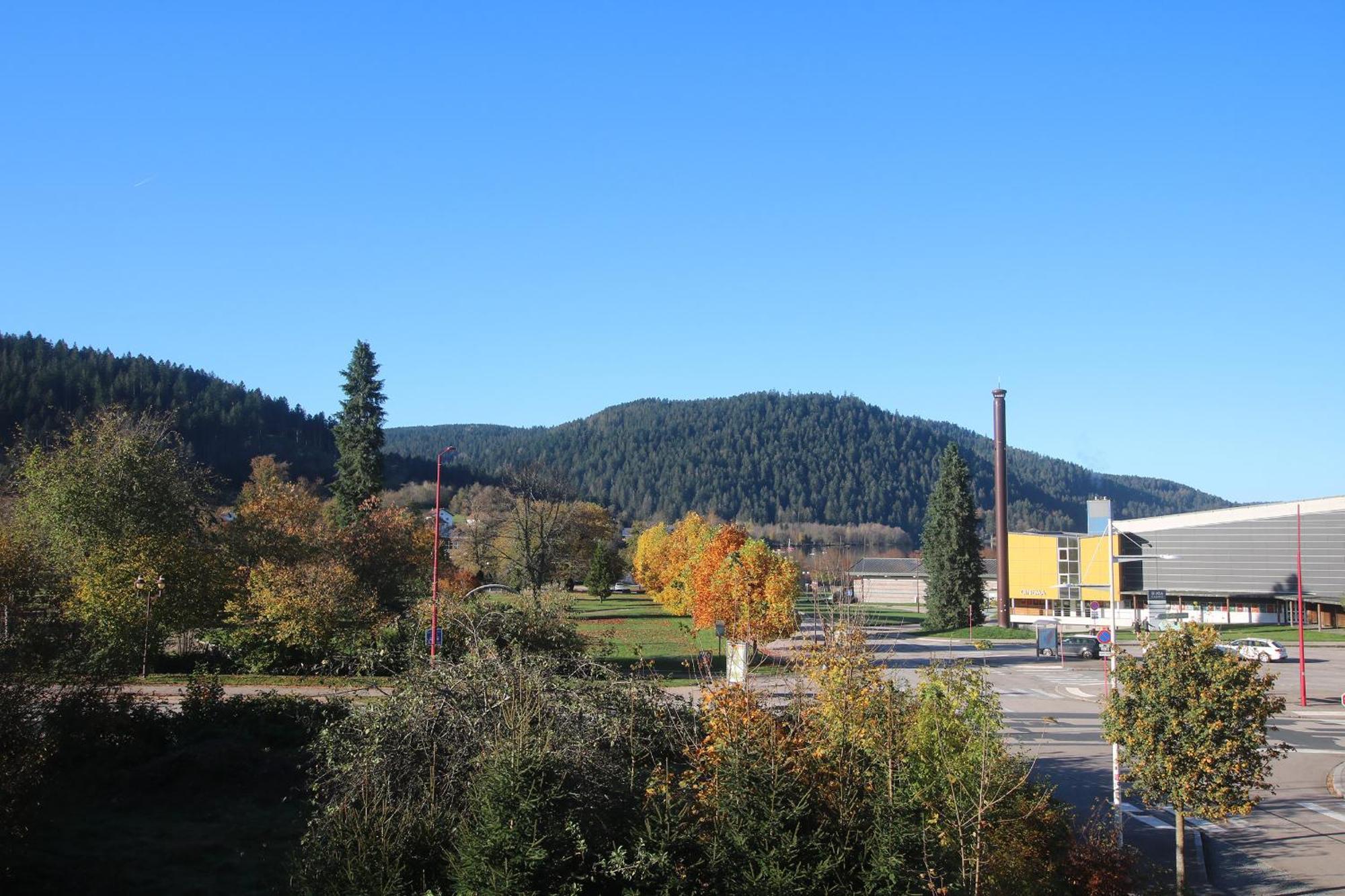 Hotel Les Loges Du Parc Gérardmer Pokój zdjęcie